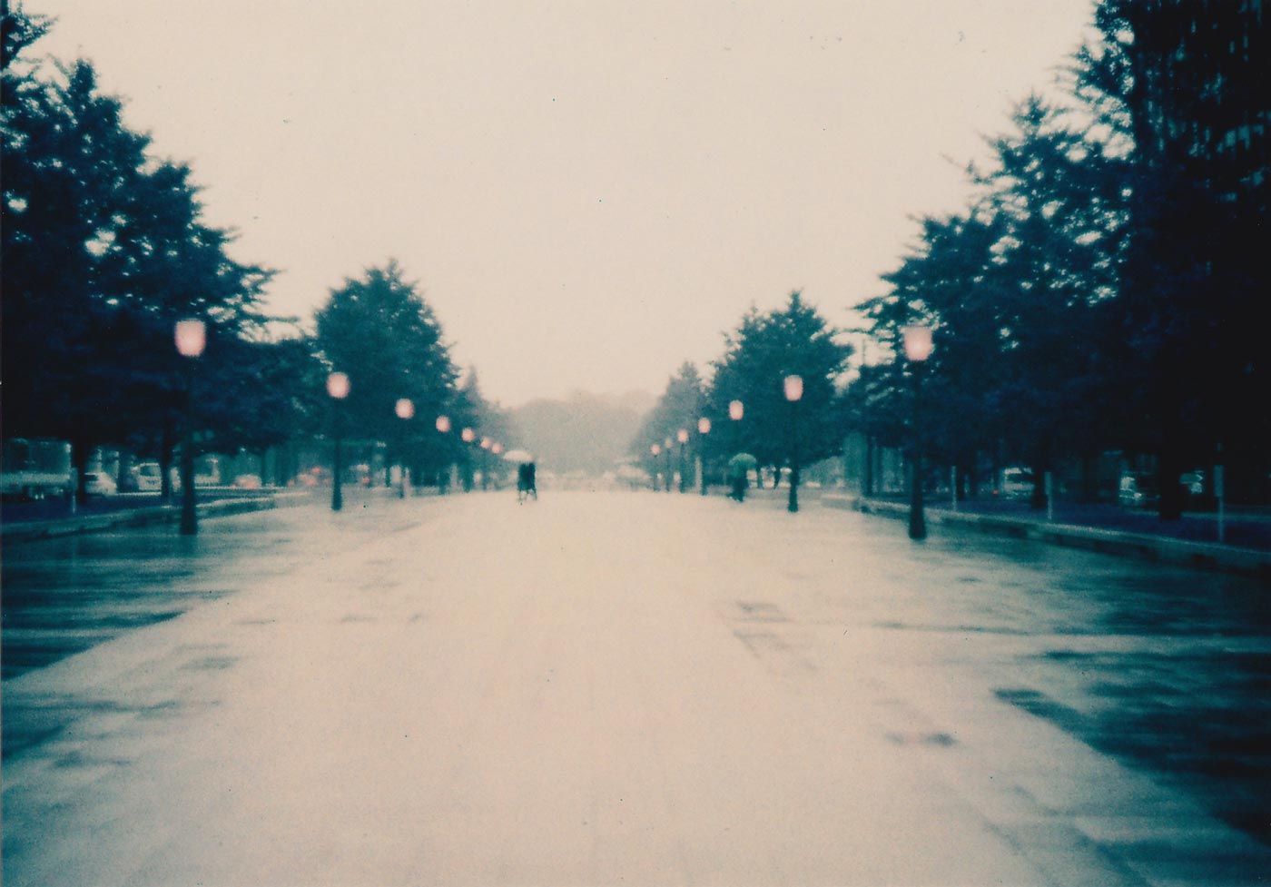 Alone, in the Rain