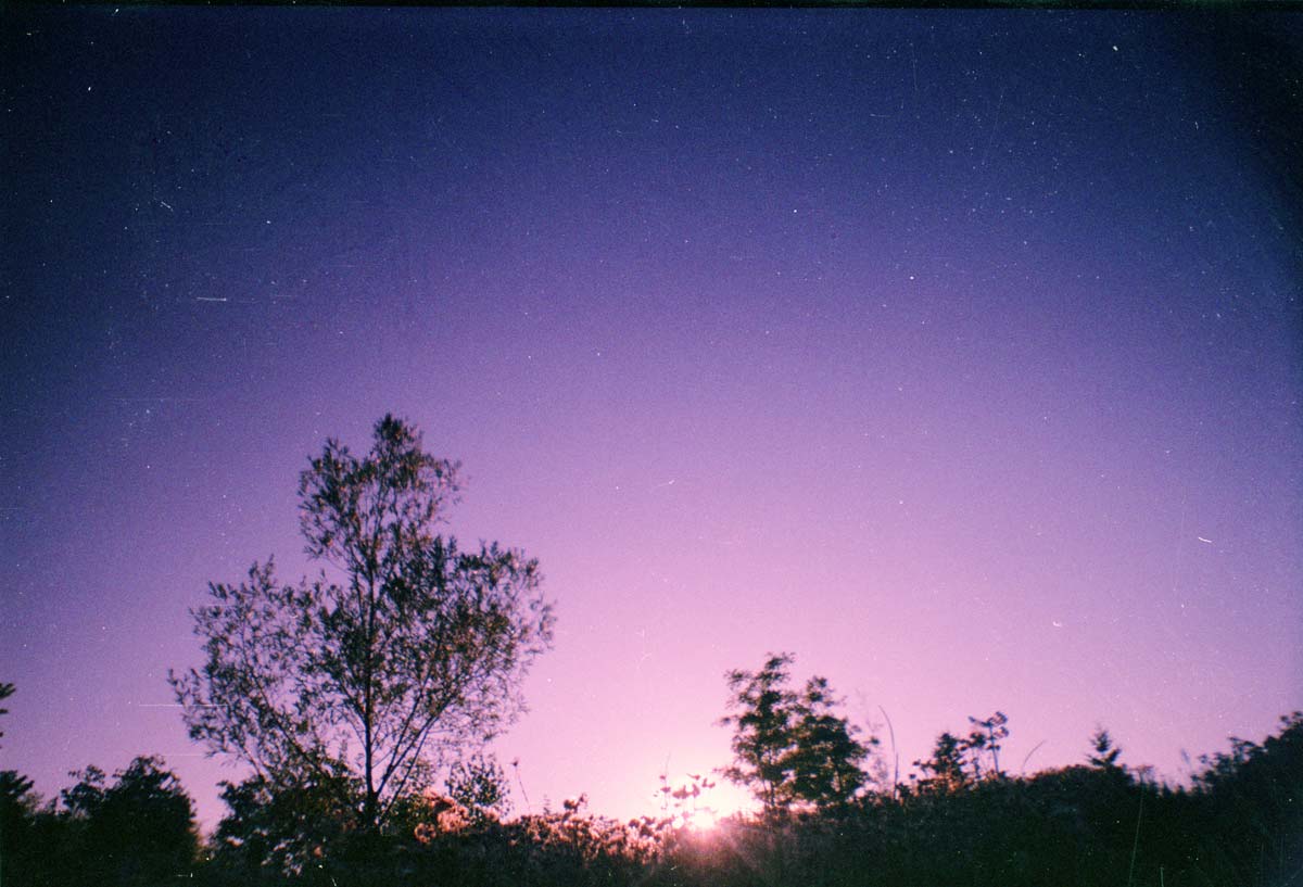 Dusk Dusk