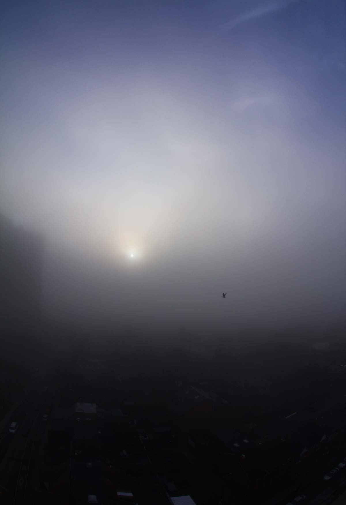 In The Clouds In The Clouds