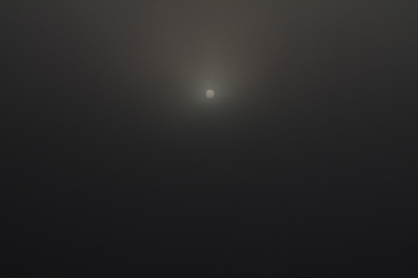 In The Fog In The Fog