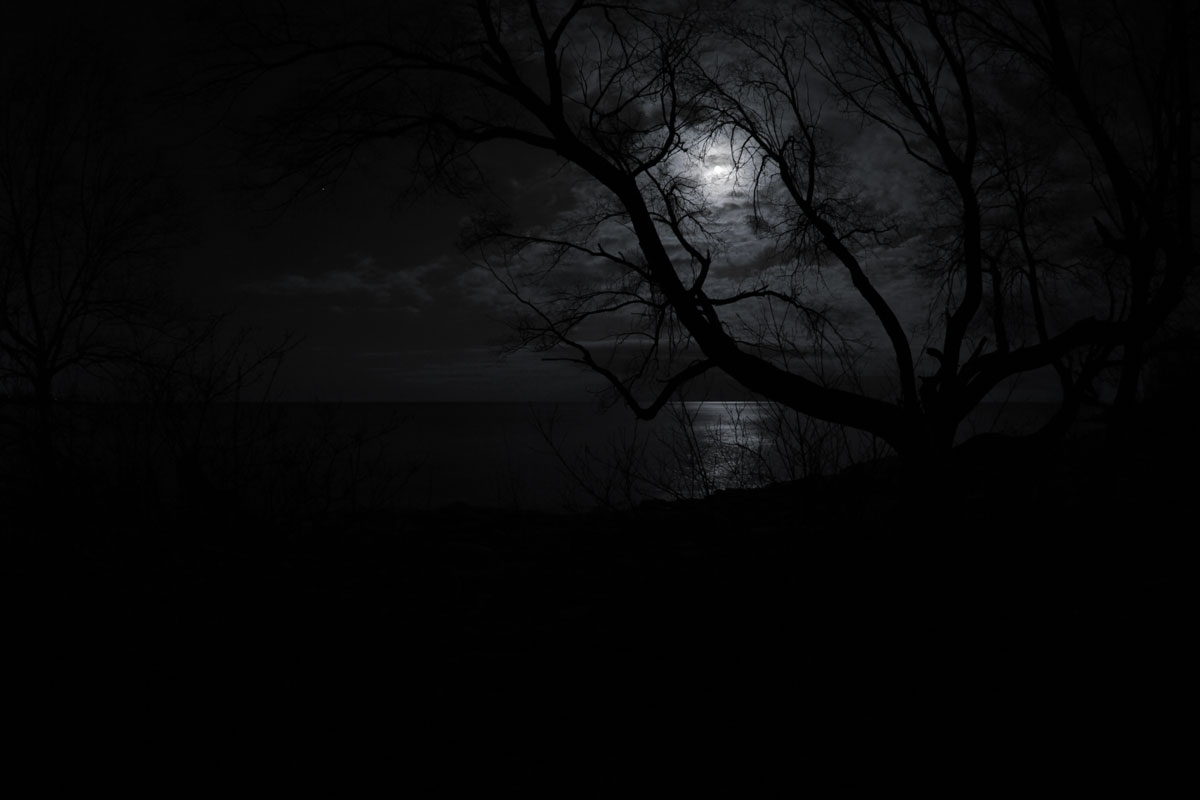 Light Noir Light Noir