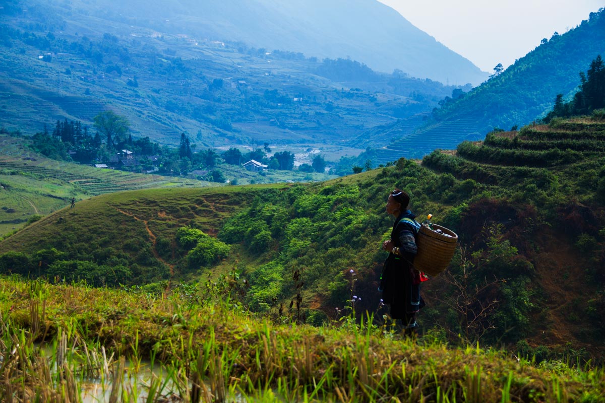 Muong Hoa Valley Muong Hoa Valley