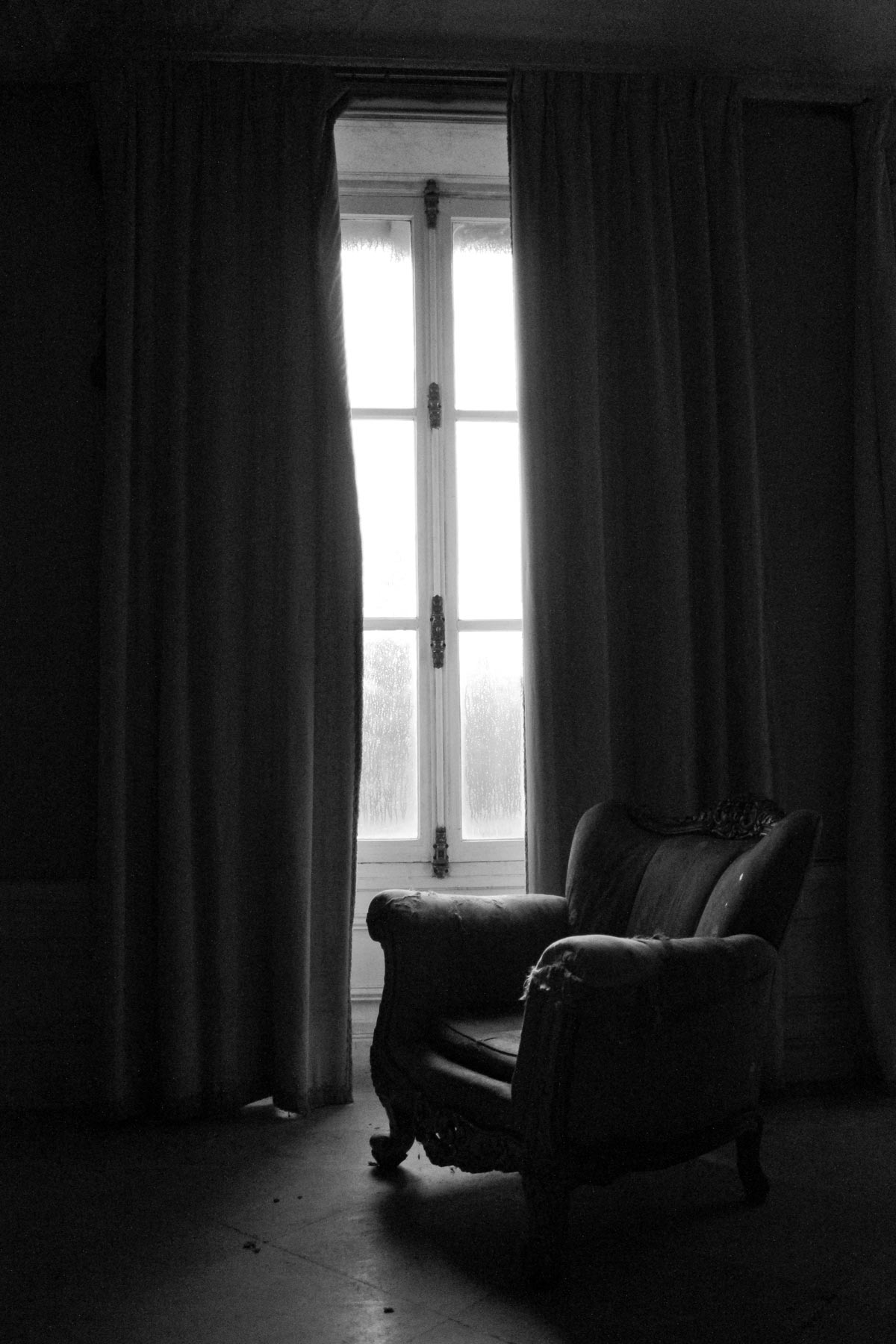 The Study The Study