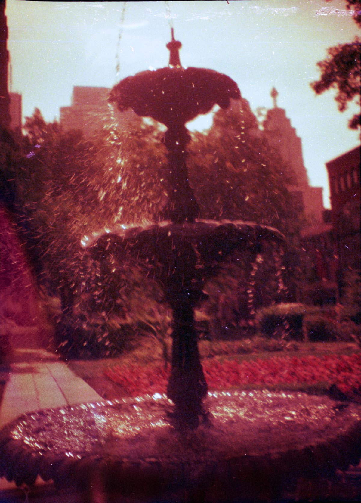 The Summer Fountain