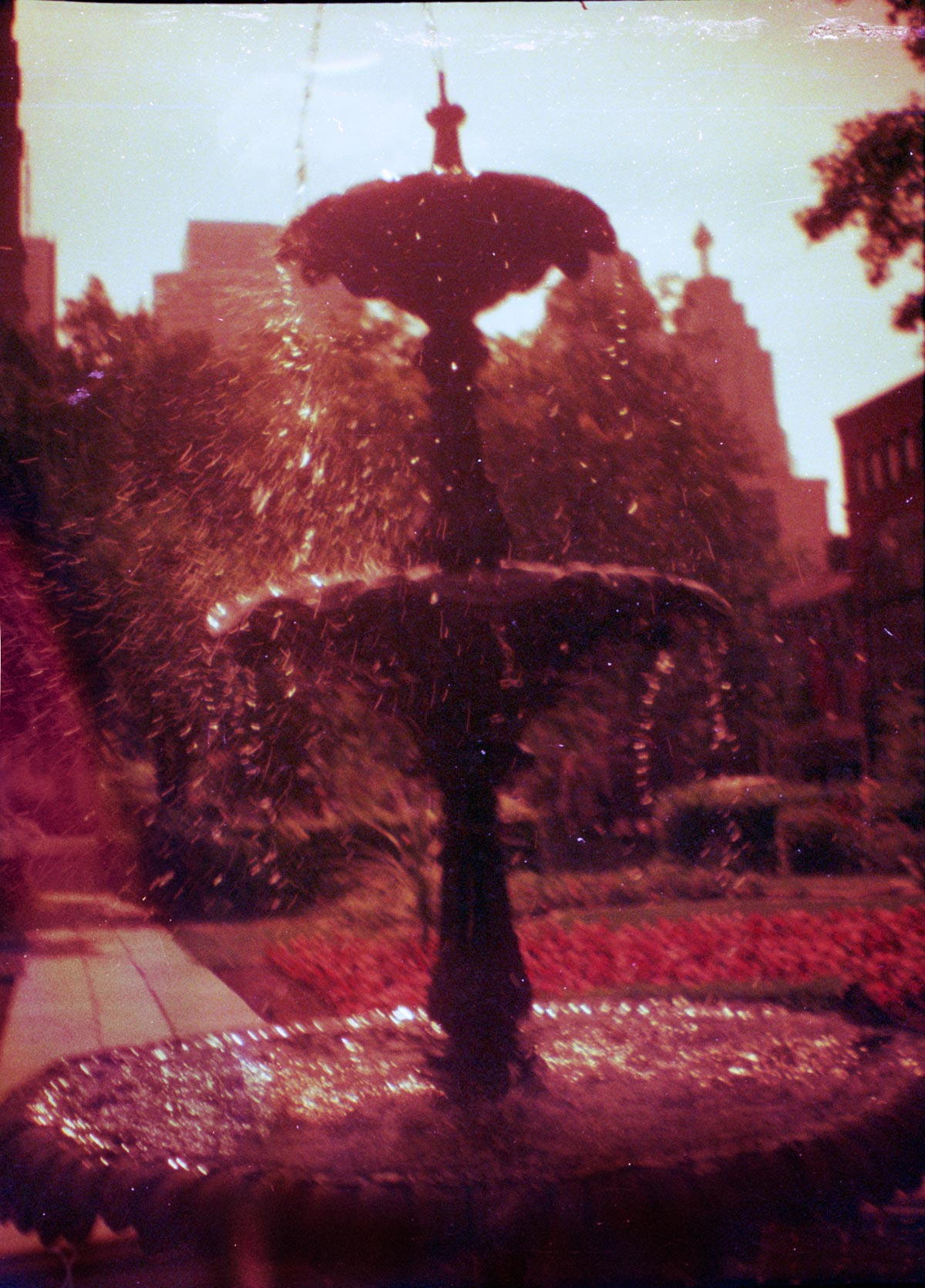 The Summer Fountain The Summer Fountain