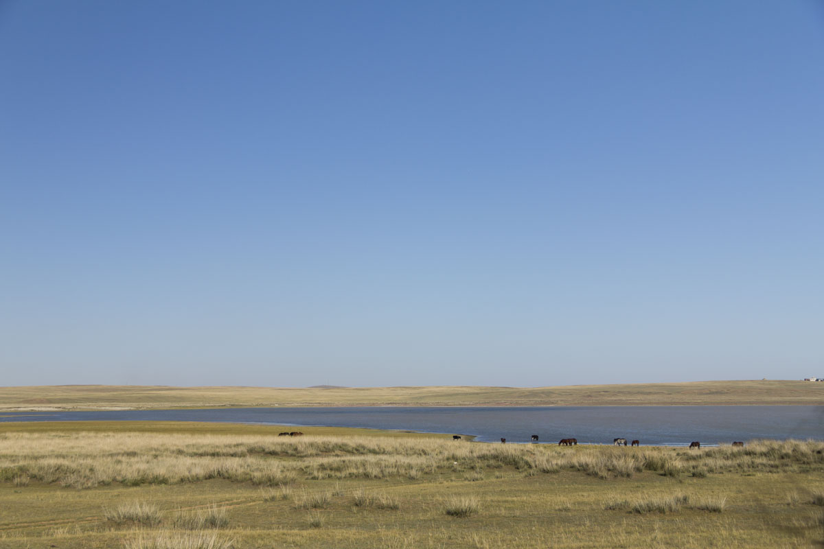 Mongolia Mongolia