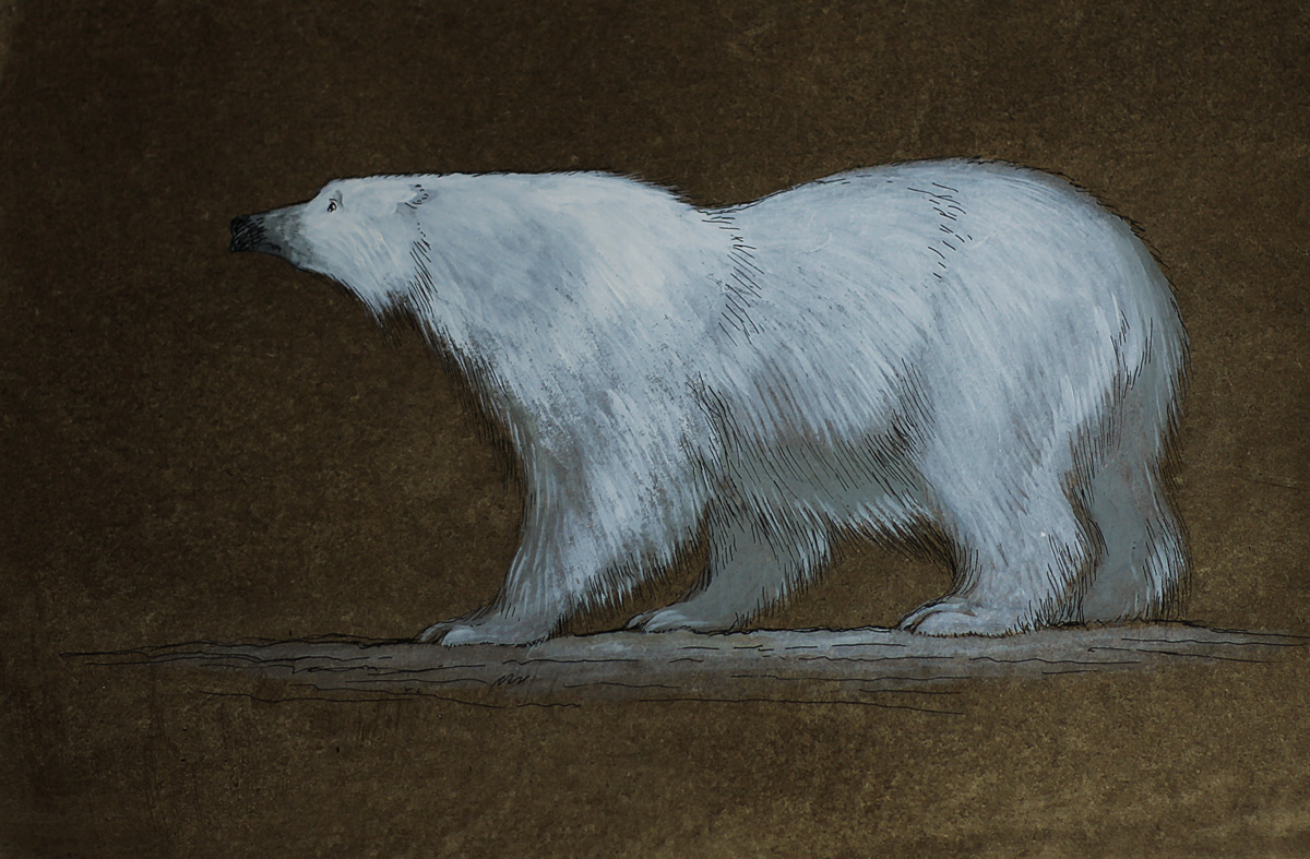 White Bear White Bear