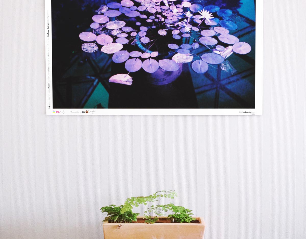 Film photo print hanging on a wall
